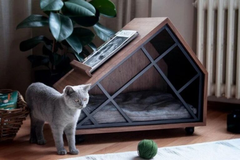 Organização com Pets: Como Evitar a Bagunça Sem Abrir Mão do Conforto Deles