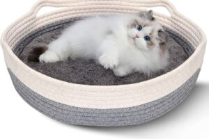 Organização com Pets