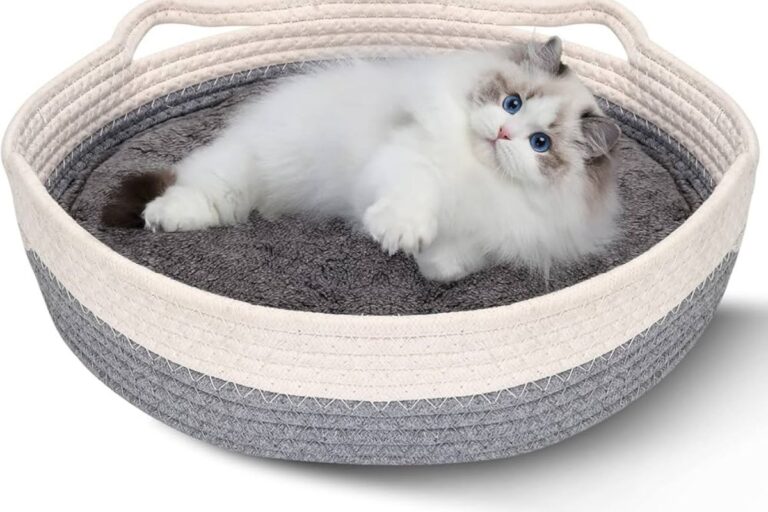 Organização com Pets