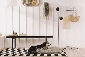 Organização para Pets: Como Deixar a Casa Pronta para Cães e Gatos