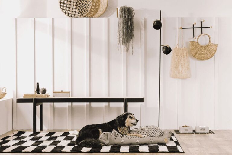 Organização para Pets: Como Deixar a Casa Pronta para Cães e Gatos
