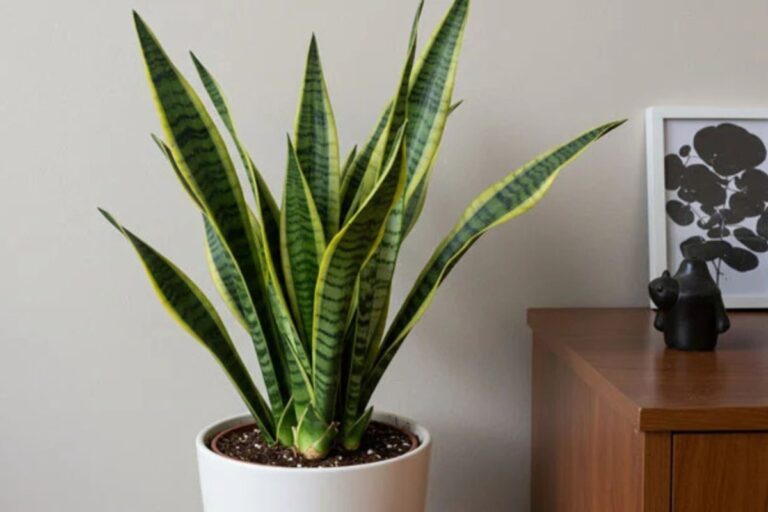 Cuidado com as Plantas em Ambientes Internos: Como Manter Verde Sem Dar Trabalho
