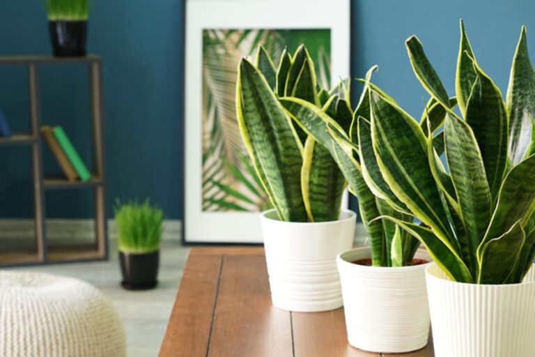 Cantinho com plantas organizadas em ambiente interno iluminado e moderno